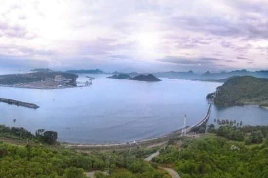 Manglares ponen a prueba la expansión del Puerto de Manzanillo
